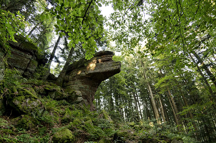 Taennchel (lieu de randonnée proche)